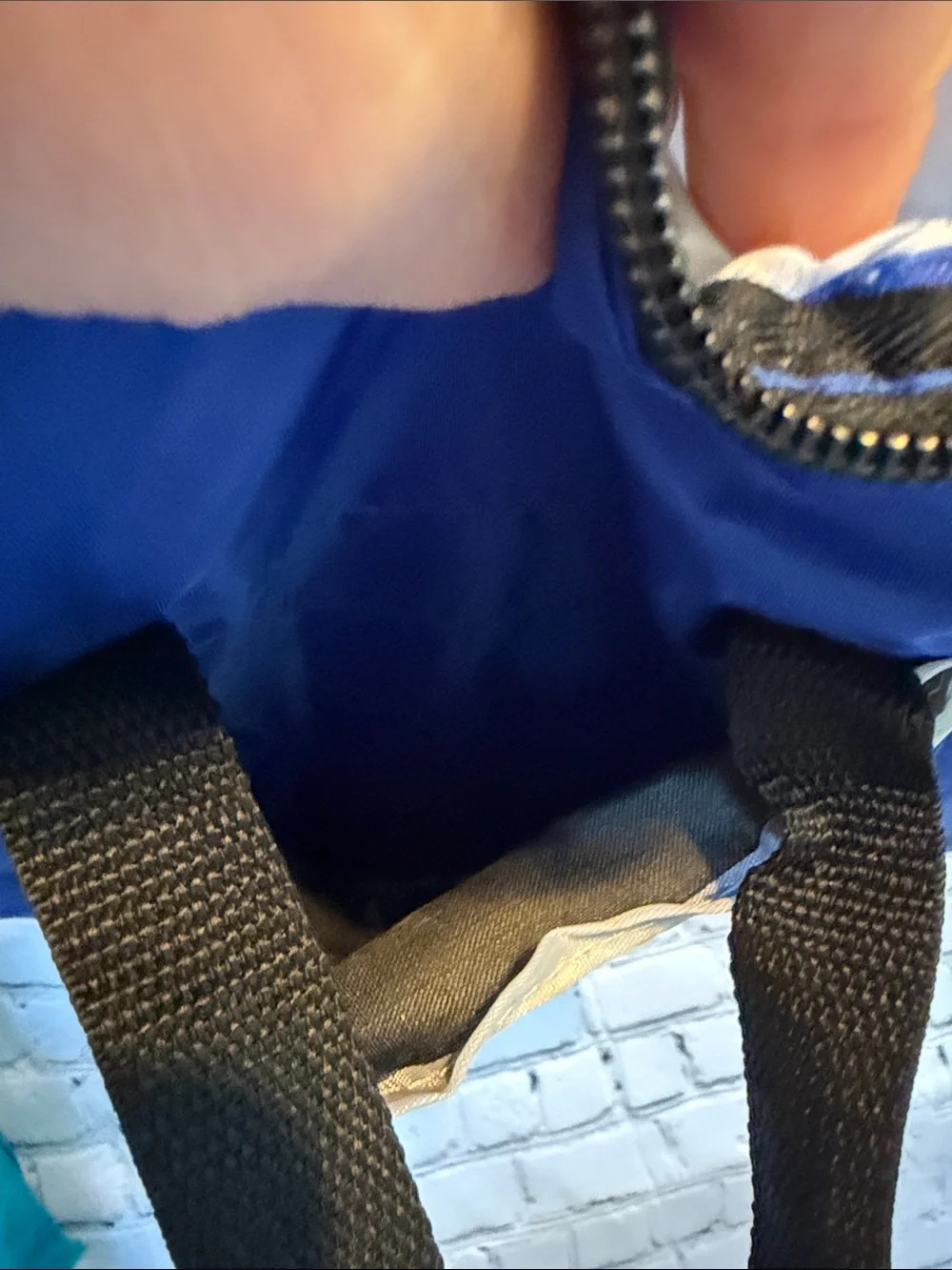 Chase new chase insulated